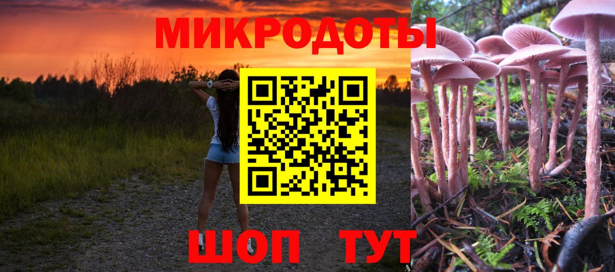 Галлюциногенные грибы мухоморы Подольск