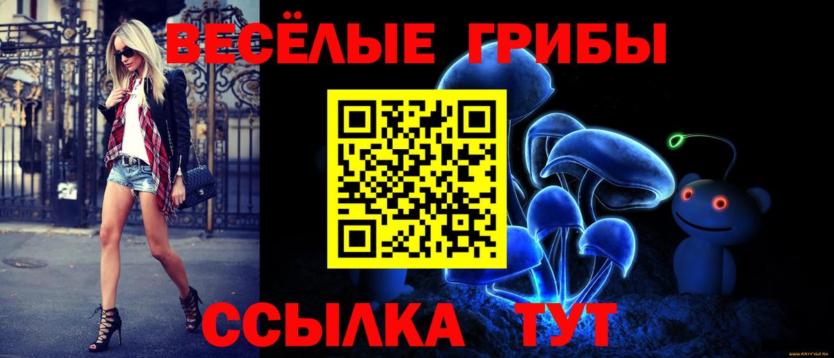 Подольск  Псилоцибиновые грибы ЛСД  Вход с VPN  Галлюциногенные грибы Psilocybine cubensis 